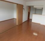 ラヴィドール 画像3