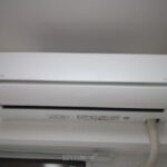 ラカ・オリノ　 画像21