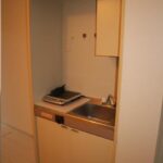 ドミールコバエ 画像10