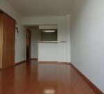 ラヴィドール 画像4