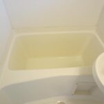 エレガンスメゾンIV　 画像8