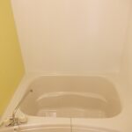 ニュー　シャルマン 画像7