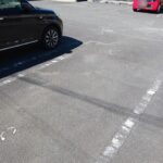 ニュー　シャルマン 画像13