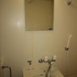 ドミールコバエ 画像15