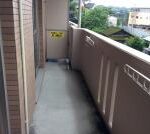 ユーミーＭｉｔｓｕｋｉ　 画像13