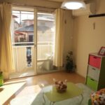 ドミールコバエ　 画像3