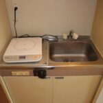 ドミールコバエ　 画像13