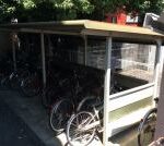 セルリア大橋　 画像17