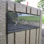 大淀ハイツ 画像14