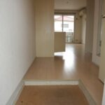 ドミールコバエ　 画像5