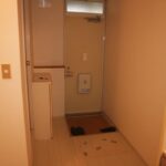 ドミールコバエ 画像5