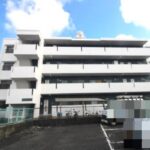 ラカ・オリノ　 画像23