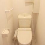 シルバーストン　Ⅱ 画像9