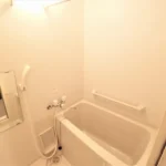 レオネクストＧＲＥＥＮＷＯＯＤ 201号室 画像12