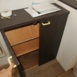 ドミールコバエ　 画像11