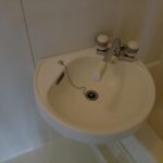 グリーンエミネンスII　 画像11