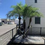 セジュールMII　208号室　 画像3