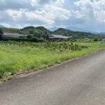 田野甲（田野ＩＣ近く）５８８坪と広い土地になります 画像1