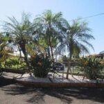 セジュールＭIII　201号室　 画像5