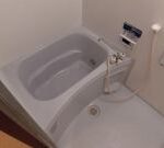 セルリア大橋　 画像8