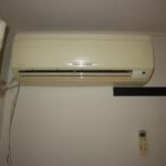 ドミールコバエ 画像16