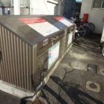 グリーンエミネンスII　 画像20