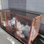 ＭＪらいず加納　 画像20