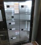 ヴィオッティ 画像21