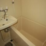 ドミールコバエ 画像13