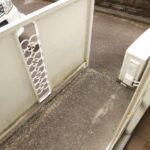 ドミールコバエ　 画像21