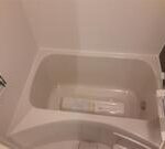 Diosa de sol（ディオサ デ ソル）　 画像13