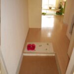 ドミールコバエ　 画像9