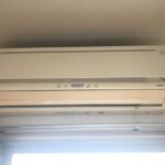 フローランテ・II　 画像19