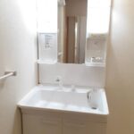 シルバーストン　Ⅱ 画像9