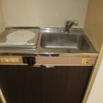 ドミールコバエ　 画像12