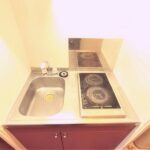 レオパレスアクエリウス　 画像4