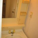 メゾンフジモト　403号室　 画像9