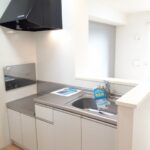 シルバーストン　Ⅱ 画像7