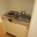 ドミールコバエ　 画像10