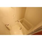 ウエストコーストⅡ　蓮ケ池のワンルーム賃貸マンション 画像14