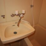 ドミールコバエ　 画像17