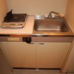 ドミールコバエ 画像9