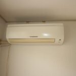 ドミールコバエ　 画像16