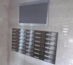 ヴィスコンティ　 画像15