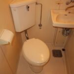 ドミールコバエ　 画像15