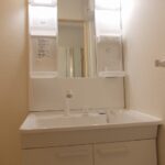 シルバーストン　Ⅱ 画像10