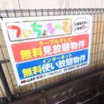 Ａｎｅｌａ 画像13