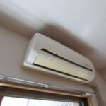 Ａｎｅｌａ 画像15