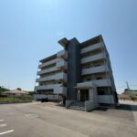 NEIGHBORS（ネイバーズ）502 画像27