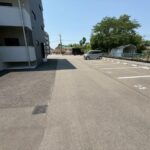 NEIGHBORS（ネイバーズ）502 画像28